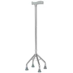 Walking stick with 4 legs